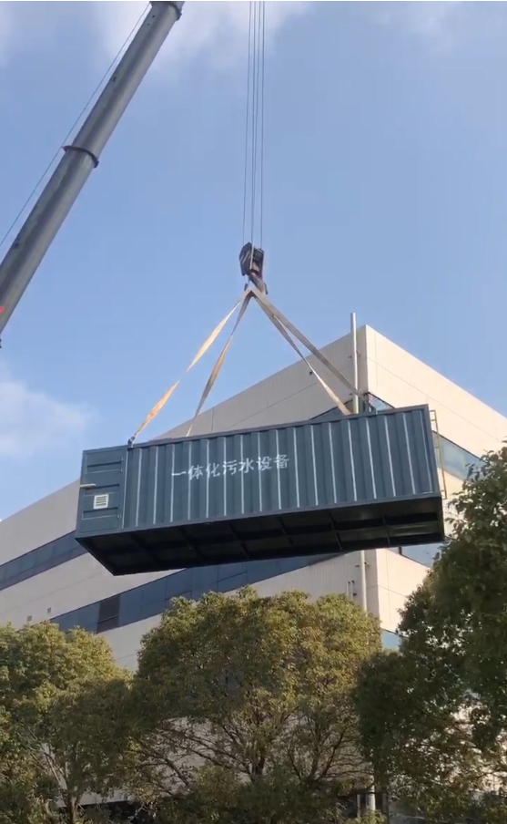 67c55ce92cc93.jpg 1 (1).jpg